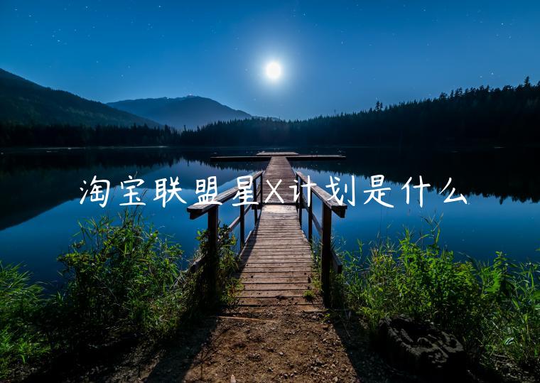 淘寶聯(lián)盟星X計劃是什么